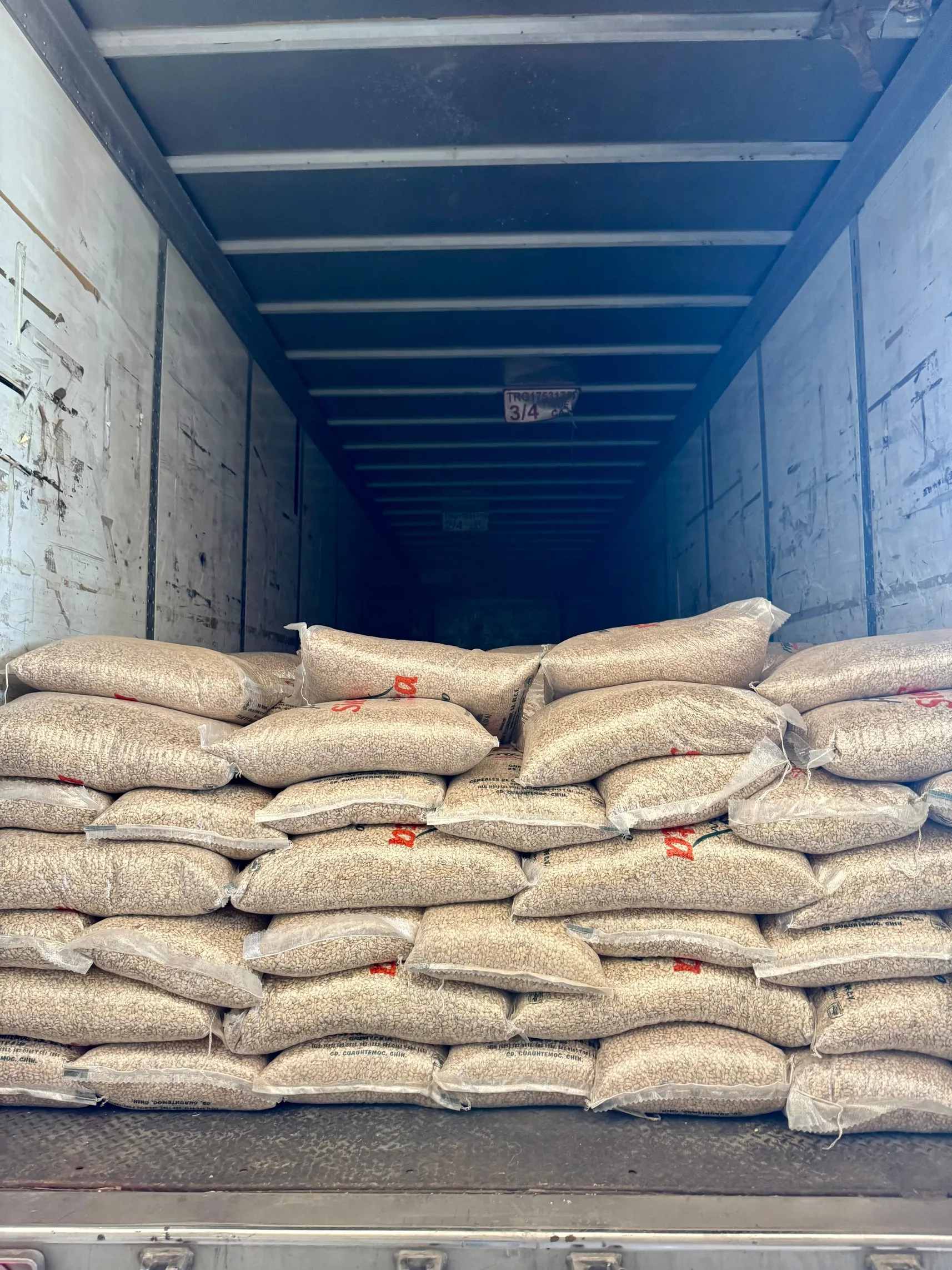 Interior de contenedor cargado de costales de Sierrita Frijol Fino, listos para distribución nacional